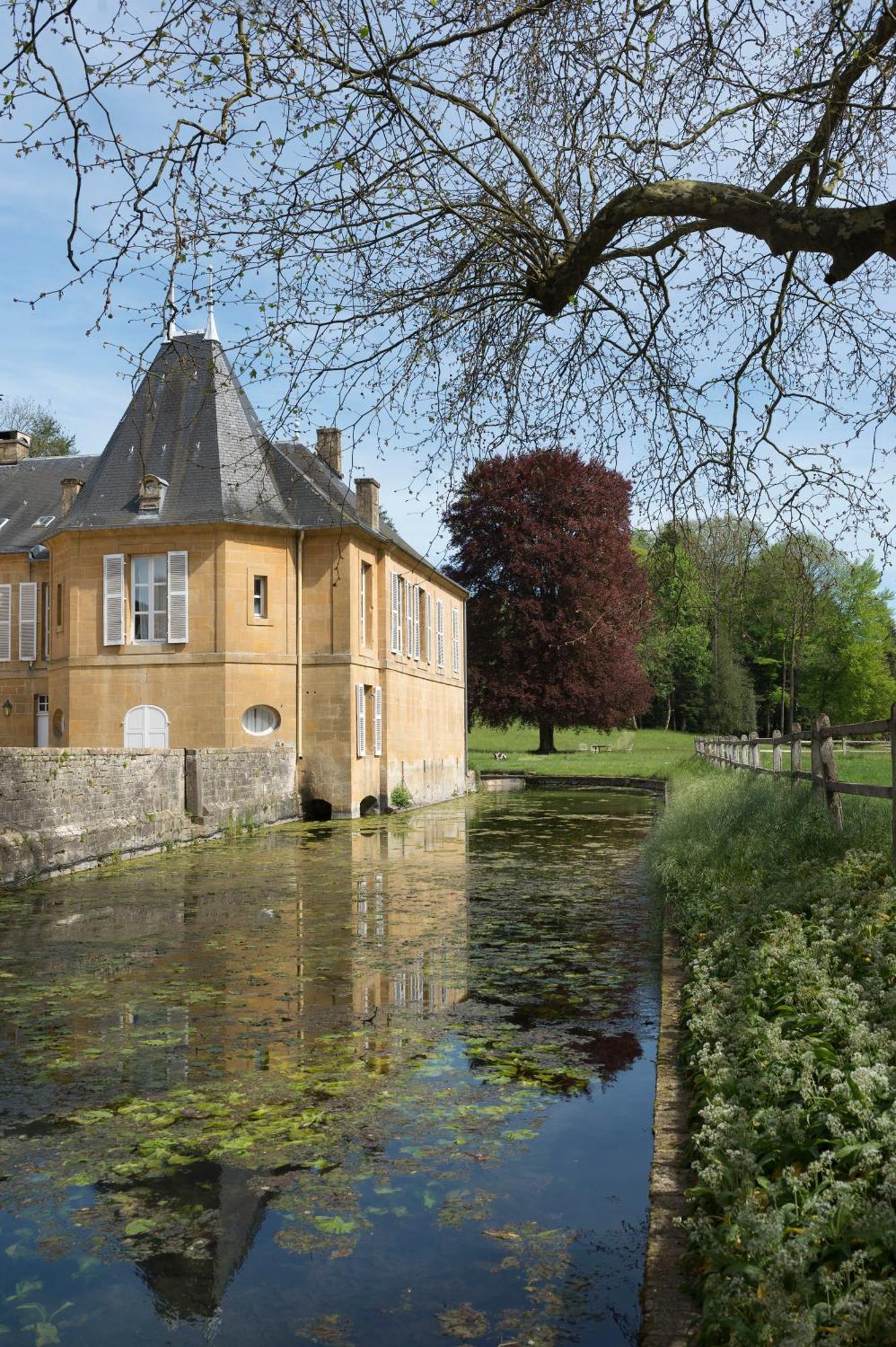 Chateau De Martigny Colmey Ngoại thất bức ảnh